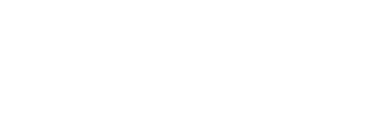 智子视界